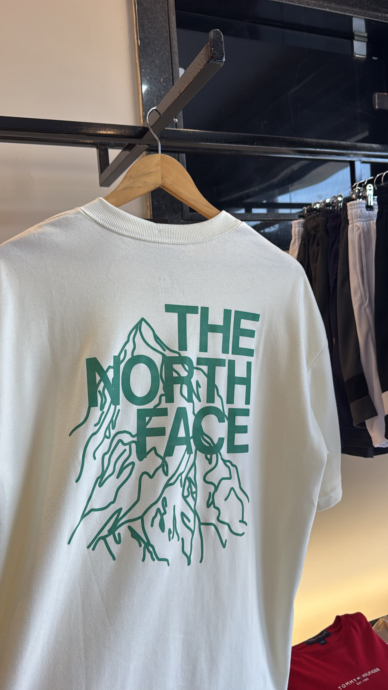 Camiseta Oversized The North Face Suedine